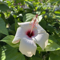 фото из отзыва ID 2674930