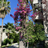 фото из отзыва ID 2674930