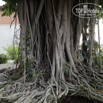 фото из отзыва ID 2674930