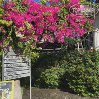 фото из отзыва ID 2674930