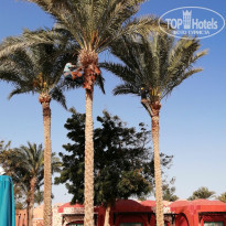 фото из отзыва ID 2674906