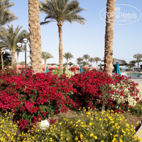 фото из отзыва ID 2674906