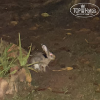 фото из отзыва ID 2674695