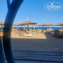 фото из отзыва ID 2674960