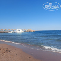 фото из отзыва ID 2674960