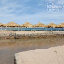 фото из отзыва ID 2674960