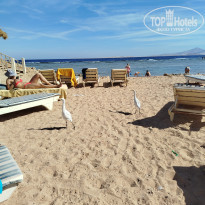 фото из отзыва ID 2674989