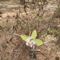 фото из отзыва ID 2675023