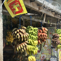 фото из отзыва ID 2675030