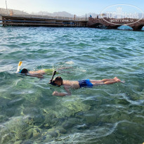 фото из отзыва ID 2675060