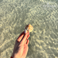 фото из отзыва ID 2675084