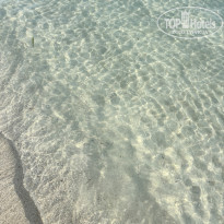 фото из отзыва ID 2675084