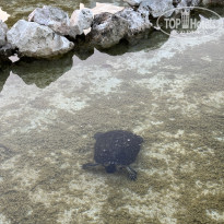 фото из отзыва ID 2675084