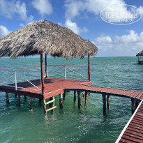 фото из отзыва ID 2675084