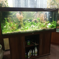 фото из отзыва ID 2675089