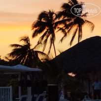 фото из отзыва ID 2675108