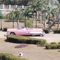 фото из отзыва ID 2675108