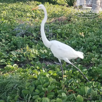 фото из отзыва ID 2675108