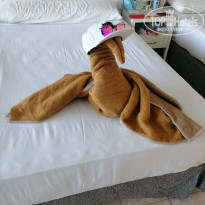 фото из отзыва ID 2675108