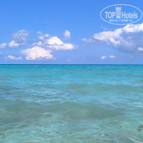 фото из отзыва ID 2675146