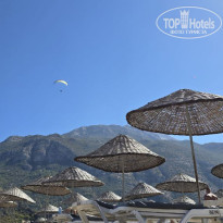 фото из отзыва ID 2675171