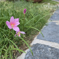 фото из отзыва ID 2675171