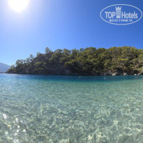 фото из отзыва ID 2675171