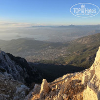 фото из отзыва ID 2675171