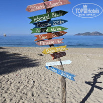 фото из отзыва ID 2675171