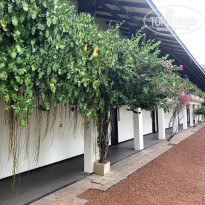 фото из отзыва ID 2675177