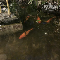 фото из отзыва ID 2675177