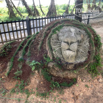 фото из отзыва ID 2675177