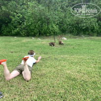 фото из отзыва ID 2675189