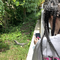 фото из отзыва ID 2675189