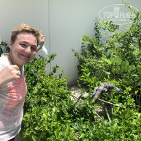 фото из отзыва ID 2675189