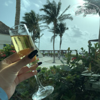 фото из отзыва ID 2675189