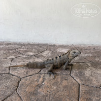 фото из отзыва ID 2675189