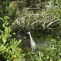 фото из отзыва ID 2675189