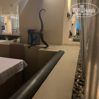 фото из отзыва ID 2675189