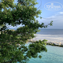 фото из отзыва ID 2675189