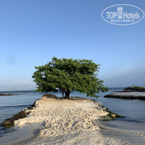 фото из отзыва ID 2675189