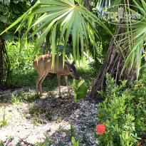 фото из отзыва ID 2675189