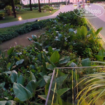 фото из отзыва ID 2675243