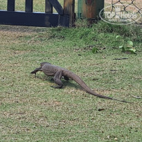 фото из отзыва ID 2675270