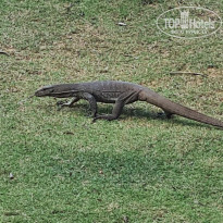 фото из отзыва ID 2675270