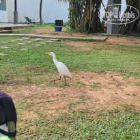 фото из отзыва ID 2675270