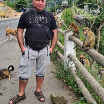 фото из отзыва ID 2675270