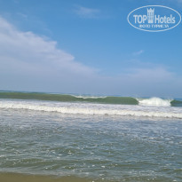 фото из отзыва ID 2675270