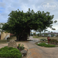 фото из отзыва ID 2675294