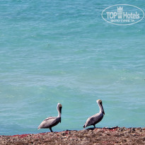 фото из отзыва ID 2675294